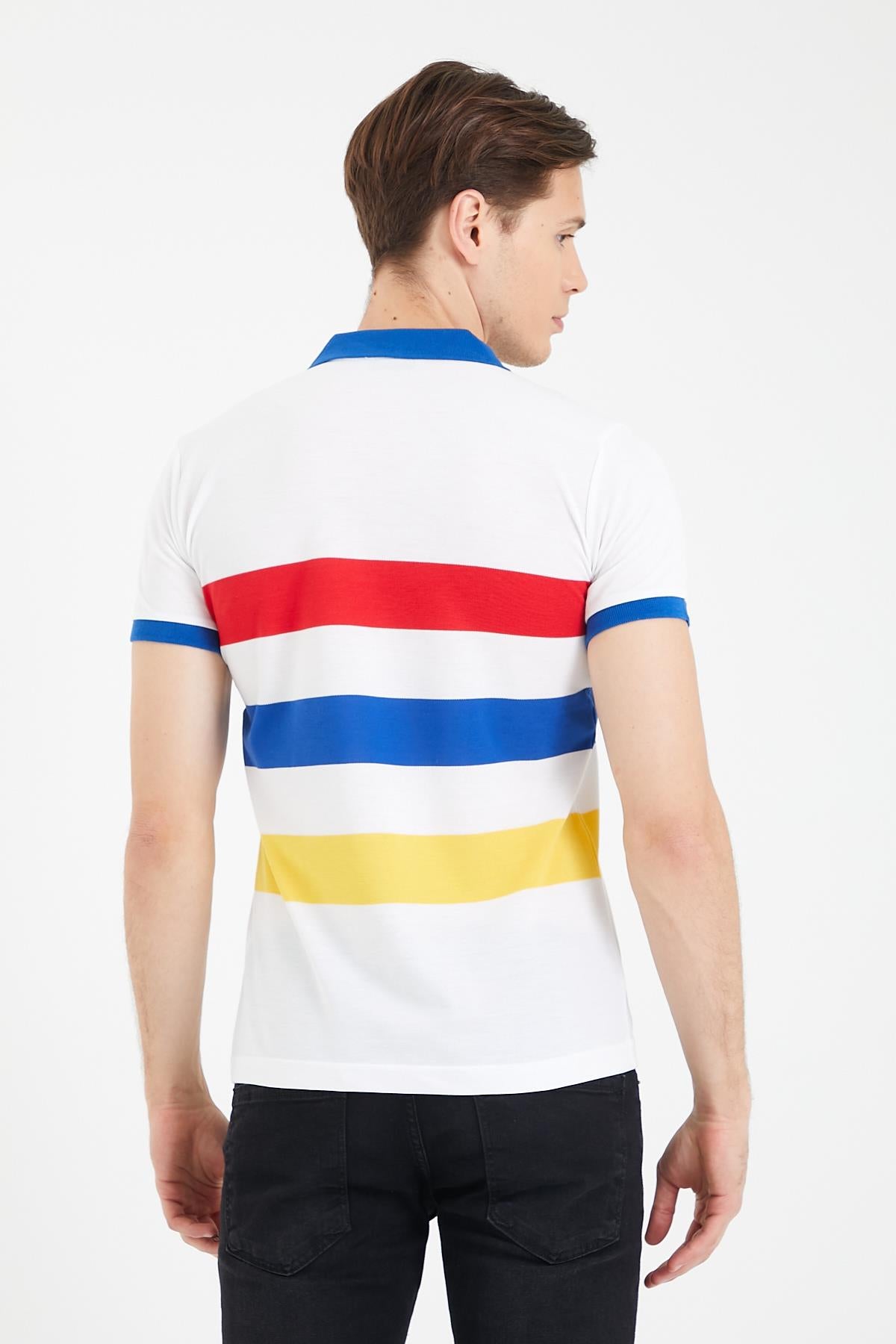 Color Panel Ringelli Polo Yaka Men's Short Sleeve T -shirt
