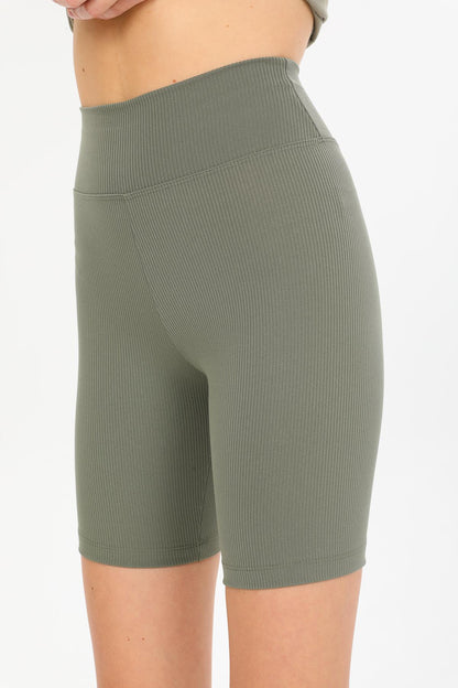 High waist, wick, interlok knitted biker short tireless female leggings